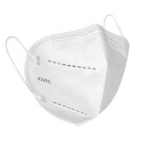 KN95 Face Mask (Non-Medical)