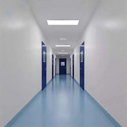 medical purification Dust free room clean room /Portable container dust free clean room 